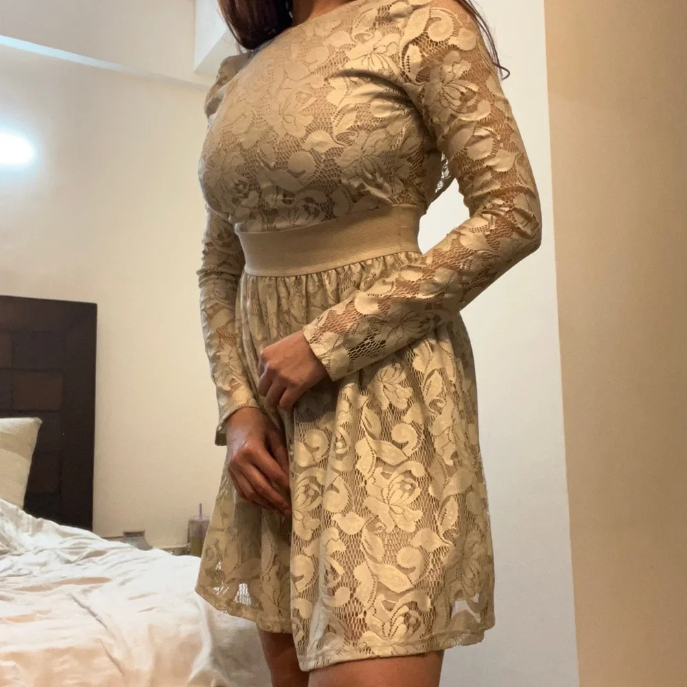 Zara Crème Net Lace Dress - Picture 6 of 12